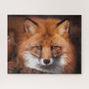 Recherche de red fox puzzles Renard