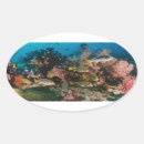 Recherche de coral reef autocollants Barrière de corail