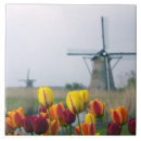 Recherche de moulin à vent carreaux Holland