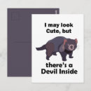 Recherche de marsupial cartes postales Diable de tasmanie