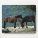 Recherche de mustang sauvage tapis souris Équestre