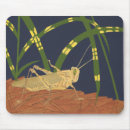 Recherche de sauterelles tapis souris Insecte