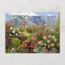 Recherche de cape town cartes postales Nature