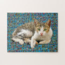 Recherche de chat doux puzzles Chaton