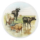 Recherche de vache boutons et poignées de porte Vintage