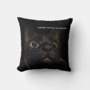 Recherche de black cat coussins Chat noir