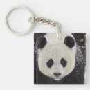 Recherche de smithsonian porteclés Panda