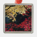 Recherche de érable ornements Automne