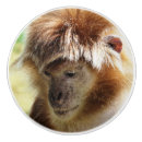 Recherche de singes boutons et poignées de porte Animaux