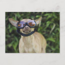 Recherche de vue de face posters Plein air