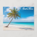 Recherche de palm tree cartes postales Vacances