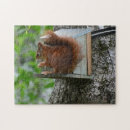Recherche de repas puzzles Jardin