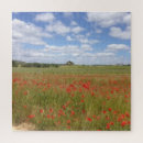 Recherche de pavots puzzles Paysage