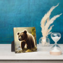 Recherche de photo de faune Ours brun