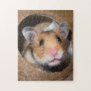 Recherche de hamster puzzles Souris