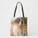Recherche de st bernard sacs Saint