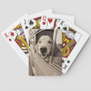 Recherche de chien jeux de cartes Animaux domestiques