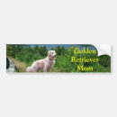 Recherche de golden retriever voiture autocollants Chiot