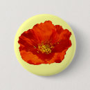Recherche de de pavot badges Fleur sauvage
