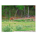 Recherche de axe posters Bois