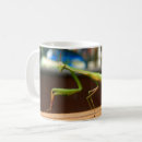 Recherche de mante tasses Vert