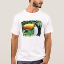 Recherche de bec Toucan