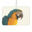 Recherche de perroquets voiture accessoires Coloré