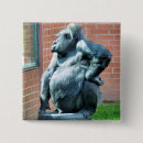 Recherche de gorille badges Primates
