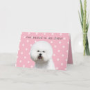 Recherche de bichons vœux cartes Chien