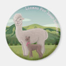 Recherche de lama de drame Lamas