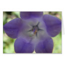 Recherche de grusskarte cartes postales À