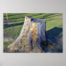 Recherche de souche posters Arbres