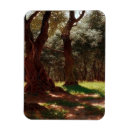 Recherche de oliviers magnets Paysage