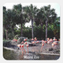 Recherche de flamant autocollants Miami