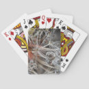 Recherche de pissenlit jeux de cartes Gros plan