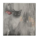 Recherche de chat noir et blanc carreaux Mignon