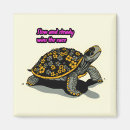 Recherche de tortues magnets Illustration