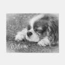 Recherche de cavalier terrasses jardins Espagne