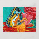 Recherche de pointu cartes postales Animaux