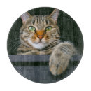 Recherche de animaux domestiques planches à découper Chat tabby