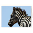 Recherche de visage de cheval cartes postales Nature