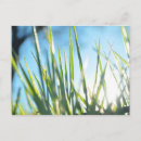 Recherche de lames cartes postales Nature