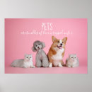 Recherche de fourrure de posters Caniche