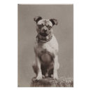 Recherche de photos vintages de chien posters Photo vintage