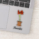 Recherche de amaryllis électronique Botanique