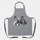 Recherche de french bulldog tabliers Animal