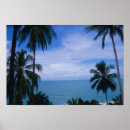 Recherche de naturel posters Horizontal