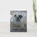Recherche de en anglais remerciements cartes Bulldog