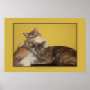 Recherche de domestiqué art Animal