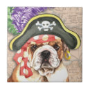 Recherche de bouledogue carreaux Chien